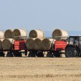 Država je izgubila mogućnost da kreira bilanse hrane 11