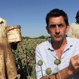 Obnovljivi izvori energije: Čemu industrija heroina može da nas nauči u vezi sa solarnom energijom 3