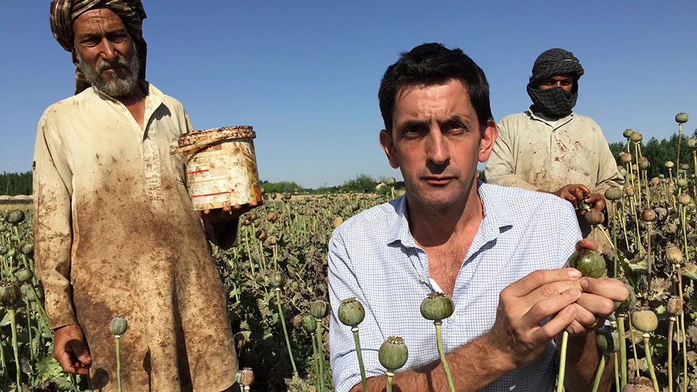 Obnovljivi izvori energije: Čemu industrija heroina može da nas nauči u vezi sa solarnom energijom 1 Džejson Roulet i uzgajivači maka