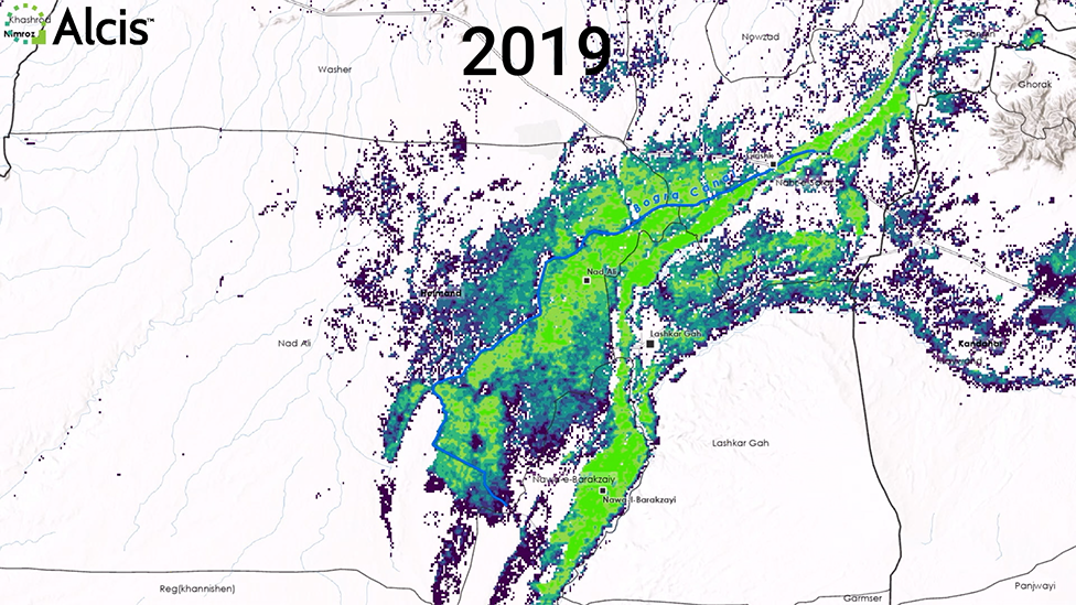 Obnovljivi izvori energije: Čemu industrija heroina može da nas nauči u vezi sa solarnom energijom 8 Farme u 2019.