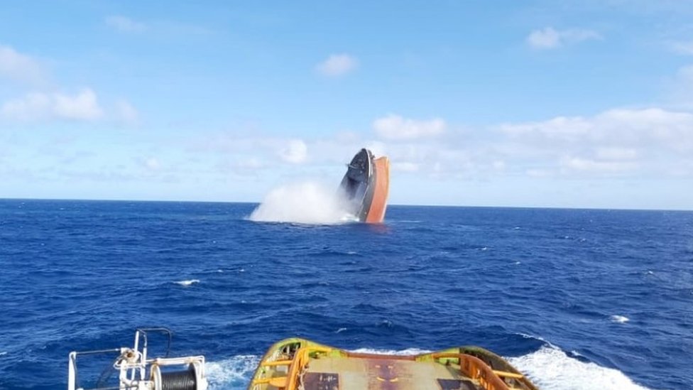 „Strašnije od najgoreg košmara": Obala Mauricijusa puna mrtvih delfina 1 25/08/2020 Reuters