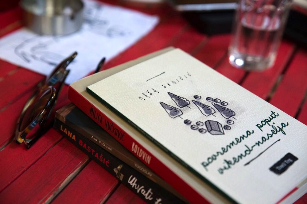 knjige maša seničić, milica vučković, ana vučković, lana bastašić