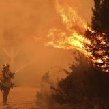 Poginuo pilot prilikom gašenja požara u Kaliforniji, pet osoba povređeno, hiljade evakuisanih 7