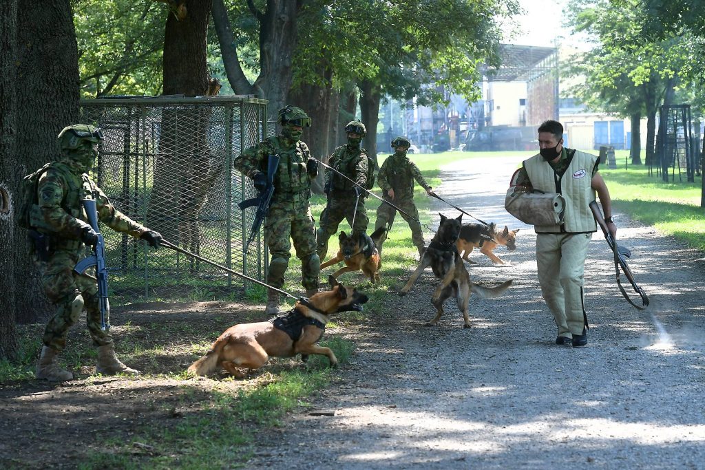 Vulin obišao Centar za obuku pasa u kasarni "Knjaz Mihailo" 2 Vulin obišao Centar za obuku pasa u kasarni "Knjaz Mihailo" 2