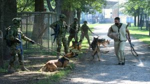 Ministarstvo odbrane objavilo je oglas o prodaji "suvišnih i rashodovanih" službenih pasa iz kasarne "Knjaz Mihailo" u Nišu i građani od juče mogu da odu u kasarnu i da ih pogledaju.
