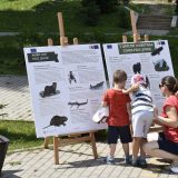 Obeleženo 145 godina od otkrića Pančićeve omorike 7