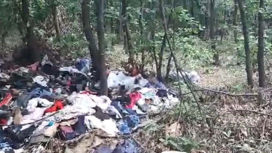 Divlja deponija pored međunarodnog puta Zaječar - Vidin 1