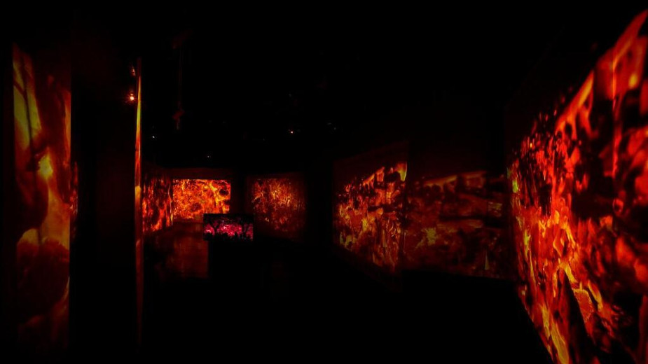 U Nišu večeras otvaranje izložbe Anice Vučetić "Revoluciju sanjam" 1