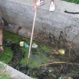 Akcija čišćenja, Višnjička banja