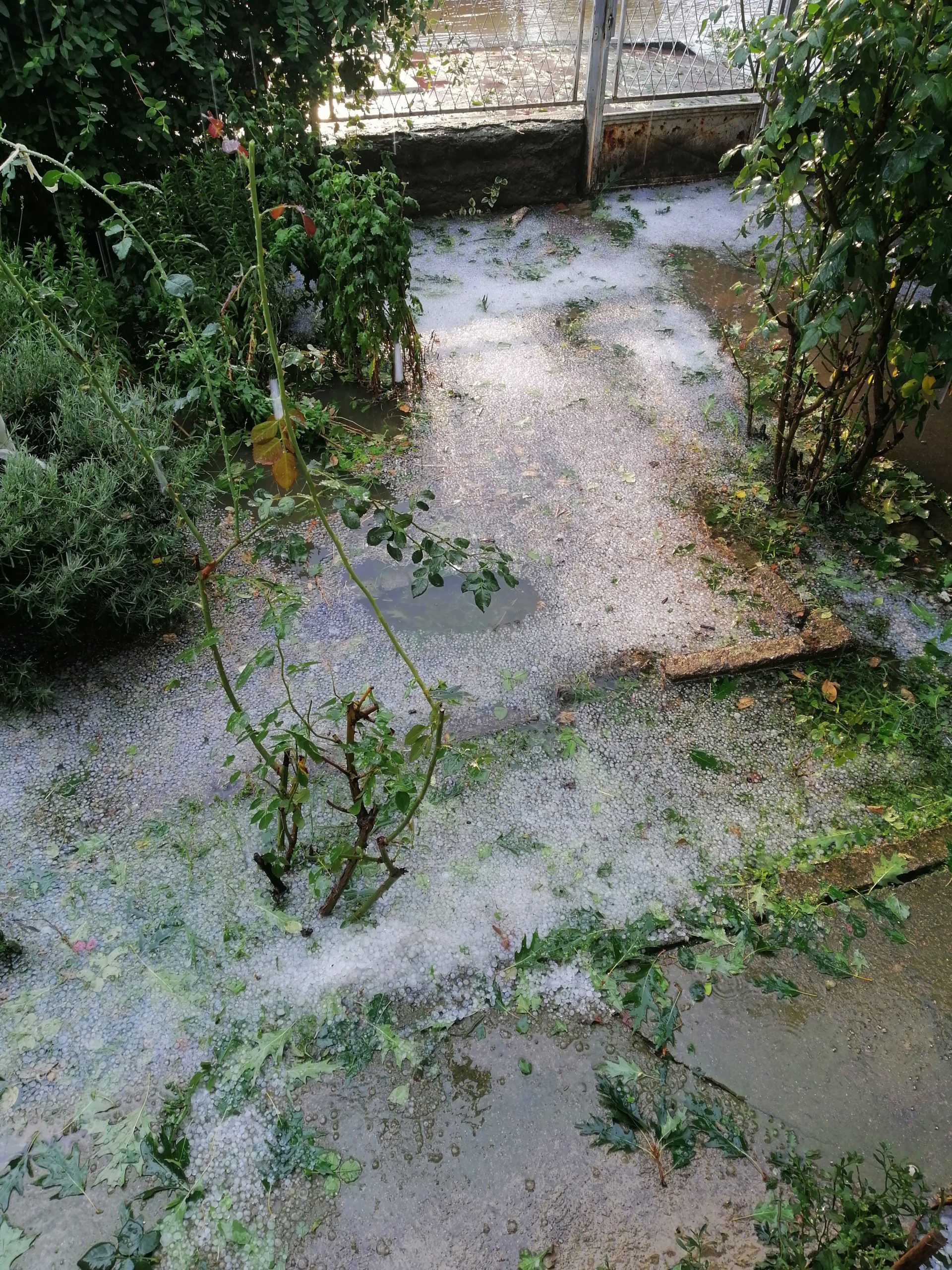 Nevreme sa gradom "poplavilo" ulice Donjeg Milanovca 1