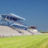 Ljubičevske konjičke igre bez defilea i publike na Hipodromu 5