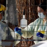 Korona se vratila na Novi Zeland 7