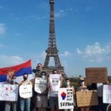 Globalni protest dijaspore za demokratiju u Srbiji (VIDEO) 8