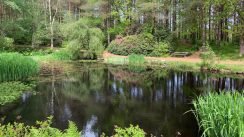 Stavanger park Foto Nikola Sretenović naši ljudi u svetu U Norveškoj sam oslobođen bujice lažnih vesti, političkih potresa i stalne strepnje (FOTO) 5