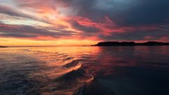 Zalazak sunca Norveška Foto Nikola Sretenović Naši ljudi u svetu U Norveškoj sam oslobođen bujice lažnih vesti, političkih potresa i stalne strepnje (FOTO) 4