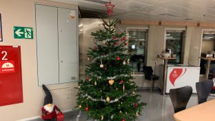 bozic na platformi Foto Nikola Sretenović U Norveškoj sam oslobođen bujice lažnih vesti, političkih potresa i stalne strepnje (FOTO) 9