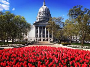 Politikom se čovek zamara, ljubavlju prema zemlji se leči 3