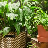 Pet neočekivanih stvari koje već danas možemo da učinimo za planetu 12