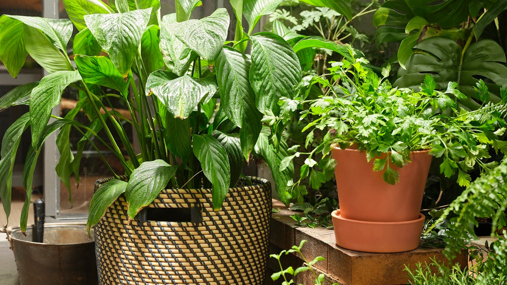 Pet neočekivanih stvari koje već danas možemo da učinimo za planetu 1