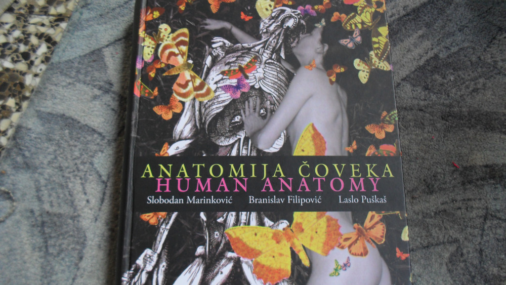 O anatomiji i poreklu živog sveta 1