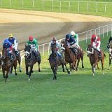 Ljubičevske konjičke igre će ipak biti održane 4