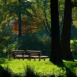 Ideje za uređenje dvorišta i bašte 4