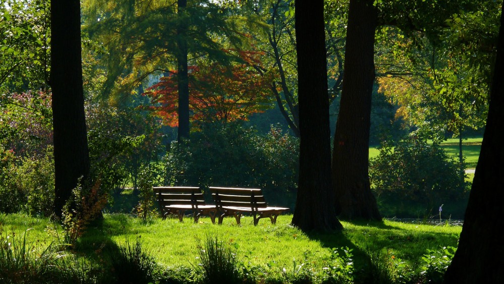 Ideje za uređenje dvorišta i bašte 1