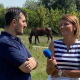 Lipovac-Tanasković: Vlast baca 500 miliona evra na nepotrebne studije o metrou 7