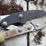 Dva miliona za uklanjanje korova na groblju 4