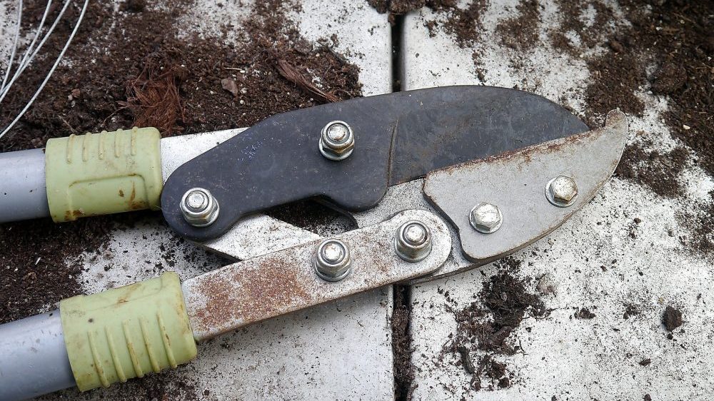 Dva miliona za uklanjanje korova na groblju 1