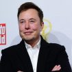 Tesla će proizvoditi robotaksi 14