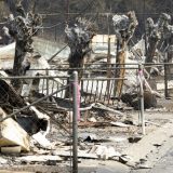 Vatrogasci napreduju u borbi sa požarima u Kaliforniji 6