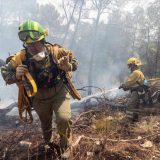 U Španiji 2.400 ljudi evakuisano zbog šumskog požara 3
