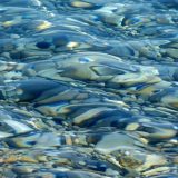 Oko 18.000 ljudi evakuisano zbog poplava u Australiji 8