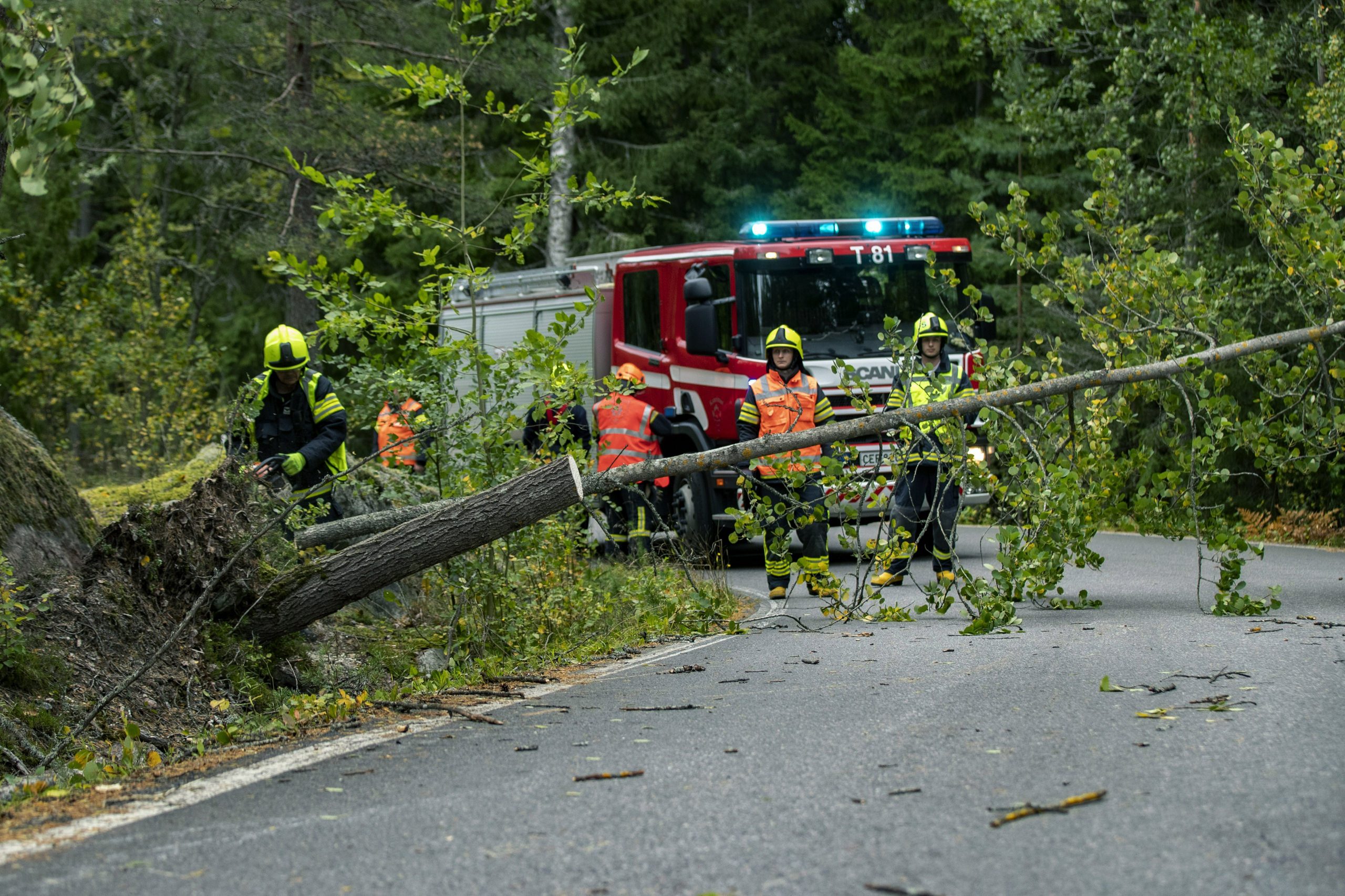 Jaka oluja u Finskoj, više od 80.000 domaćinstava bez struje 1