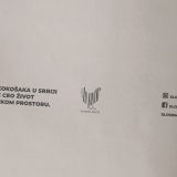 Koliko košta jedno jaje?  10