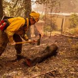 U Oregonu evakuisano više od pola miliona ljudi 5