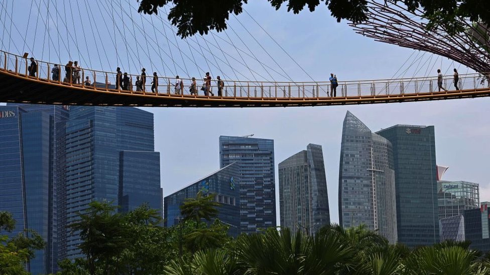 Visitors take in the view from the aerial walkway of the Garden by the Bay's Supertree Grove in Singapore, 2017