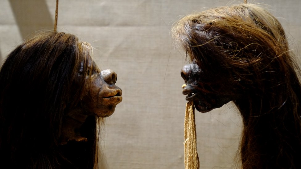 Smrt i arheologija: Oksfordski muzej uklonio morbidnu postavku ljudskih glava 2 Shrunken heads on display