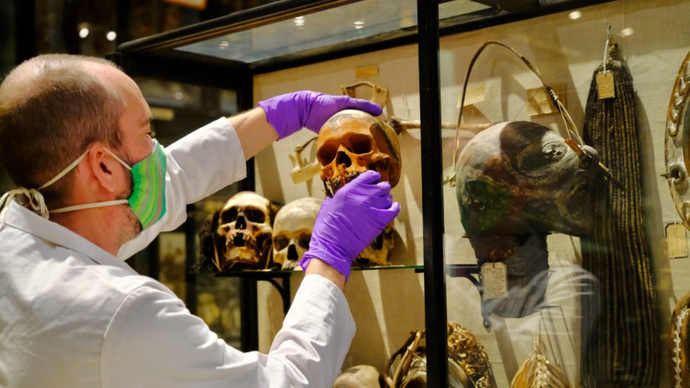 Smrt i arheologija: Oksfordski muzej uklonio morbidnu postavku ljudskih glava 1 Skull being removed from a display cabinet