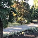 Hoće li palme na Kalemegdanu dočekati proleće? (VIDEO) 2