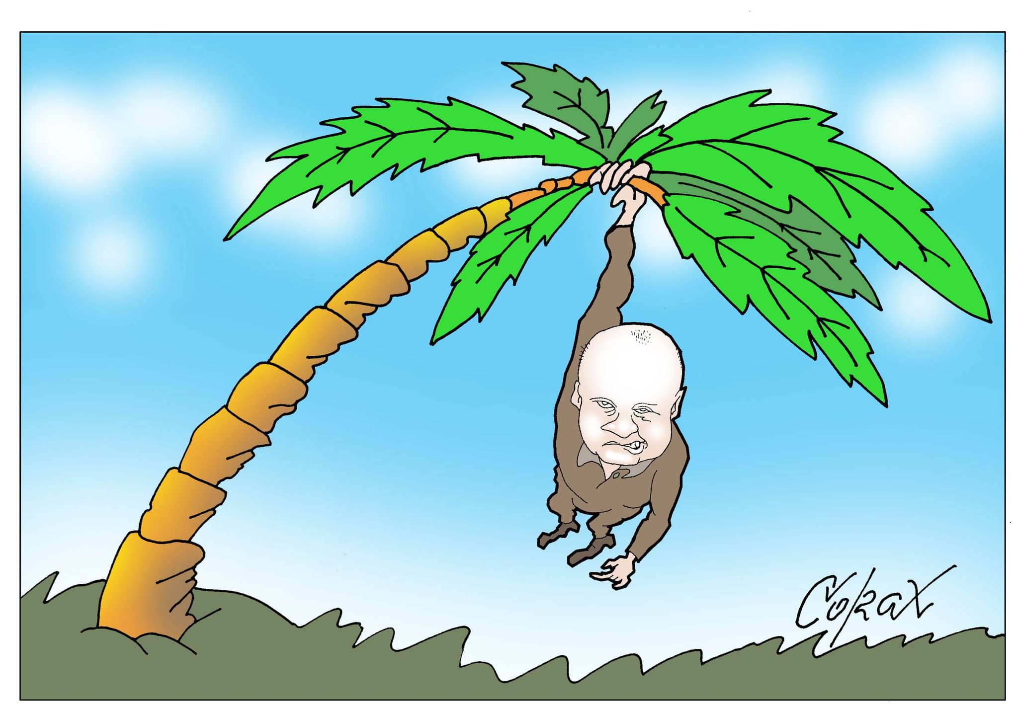 Corax 5
