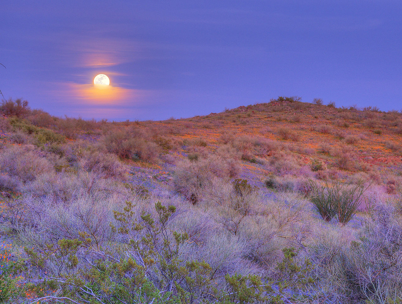 Džeronimo: Poslednji vođa Indijanaca koji se predao „belim ljudima” 6 Džeronimo: Poslednji vođa Indijanaca koji se predao „belim ljudima” 6