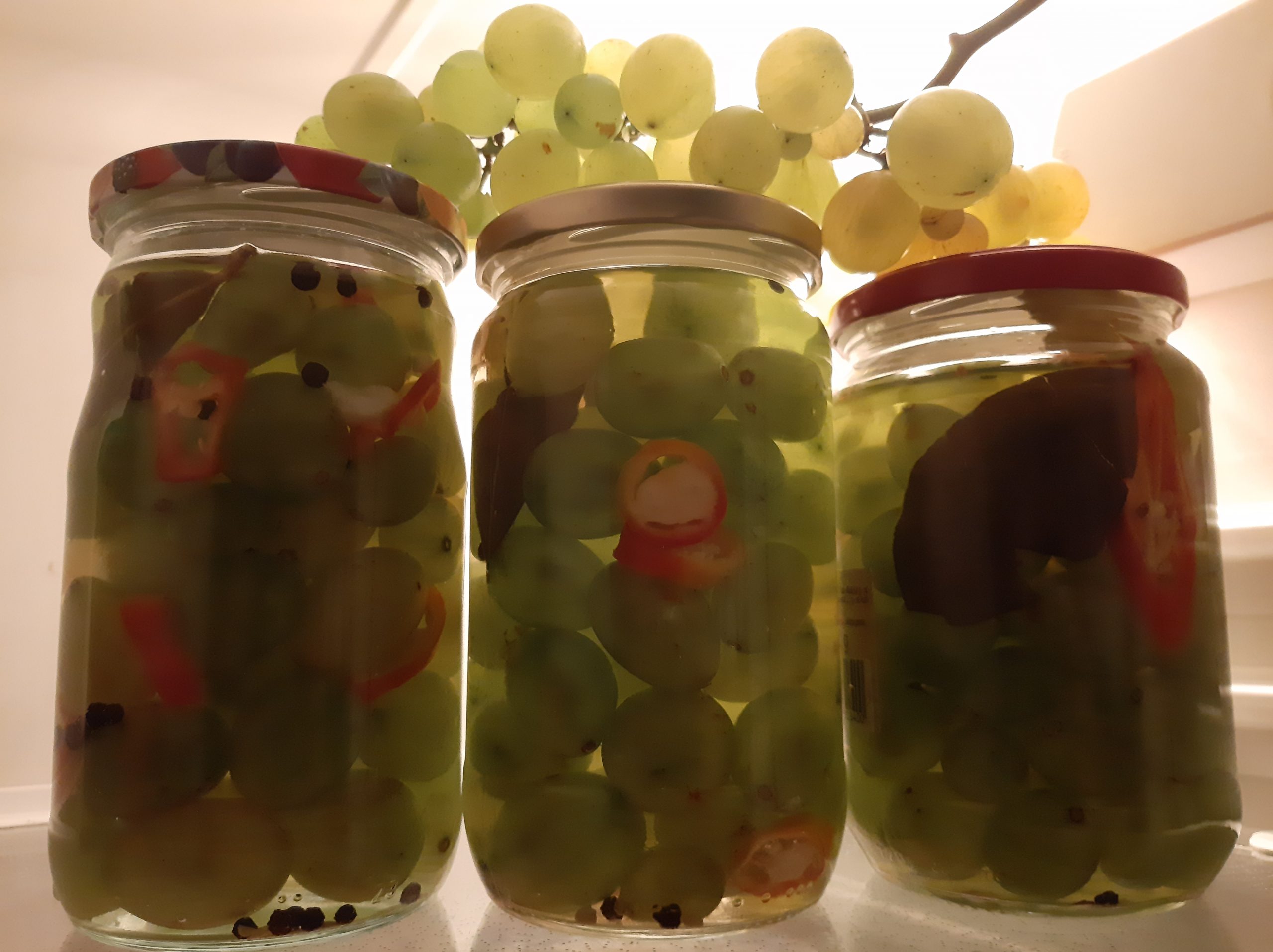 Recept za grožđanu turšiju 1