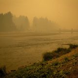 Bukte šumski požari na zapadu SAD, u Oregonu evakuisano više od pola miliona ljudi 5