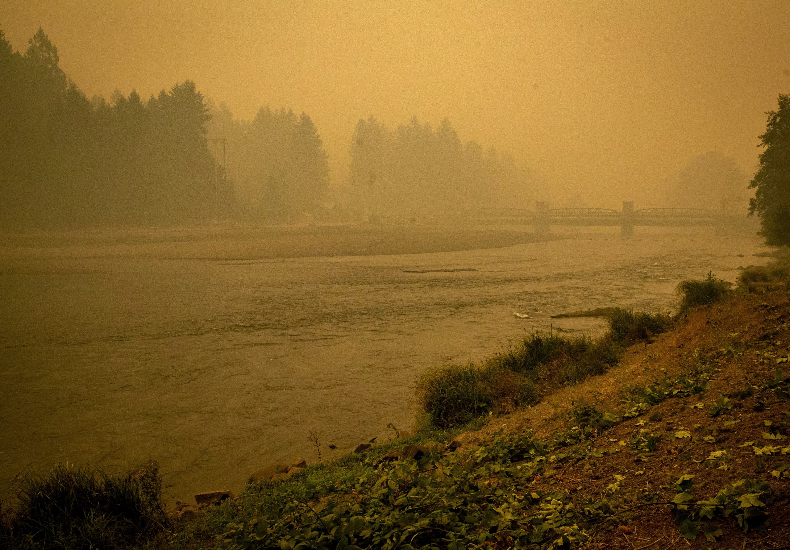 Bukte šumski požari na zapadu SAD, u Oregonu evakuisano više od pola miliona ljudi 1