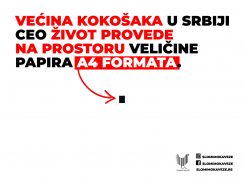 Koliko košta jedno jaje?  2