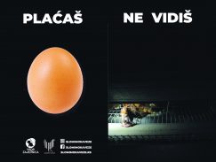 Koliko košta jedno jaje?  3