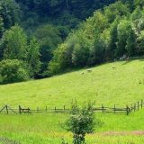 Eko edukacija: Sačuvajmo lepote Homolja 13