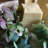 Beli anđeo ili bela torta (recept) 3